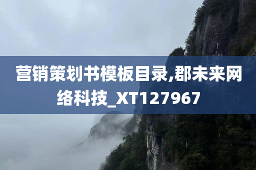 营销策划书模板目录,郡未来网络科技_XT127967