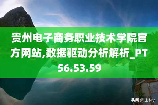 贵州电子商务职业技术学院官方网站,数据驱动分析解析_PT56.53.59