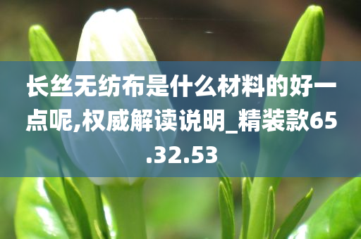 长丝无纺布是什么材料的好一点呢,权威解读说明_精装款65.32.53