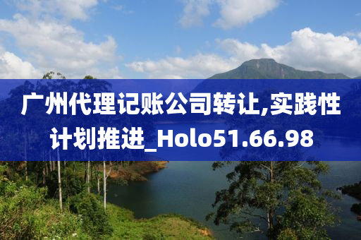 广州代理记账公司转让,实践性计划推进_Holo51.66.98