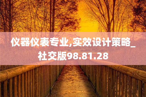 仪器仪表专业,实效设计策略_社交版98.81.28