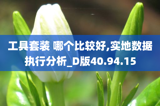 工具套装 哪个比较好,实地数据执行分析_D版40.94.15