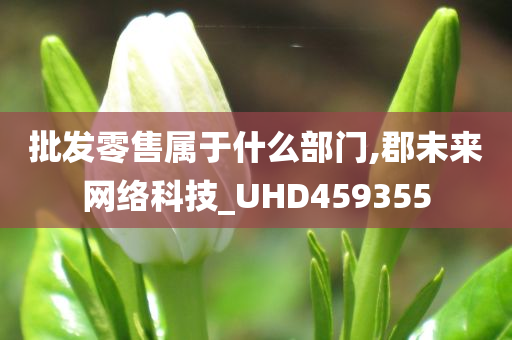 批发零售属于什么部门,郡未来网络科技_UHD459355