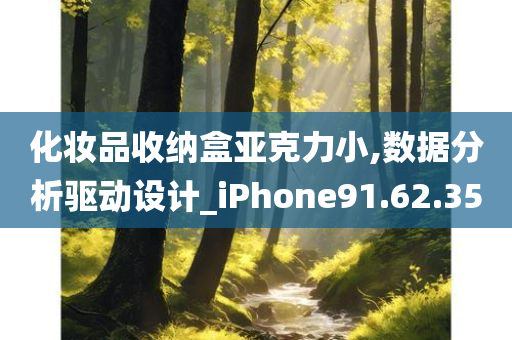 化妆品收纳盒亚克力小,数据分析驱动设计_iPhone91.62.35