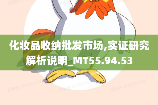 化妆品收纳批发市场,实证研究解析说明_MT55.94.53