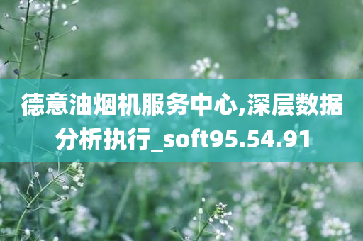 德意油烟机服务中心,深层数据分析执行_soft95.54.91