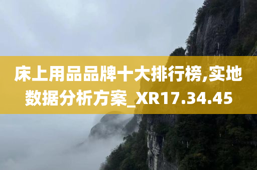 床上用品品牌十大排行榜,实地数据分析方案_XR17.34.45