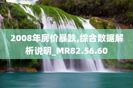 2008年房价暴跌,综合数据解析说明_MR82.56.60