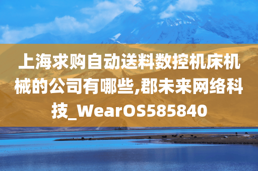 上海求购自动送料数控机床机械的公司有哪些,郡未来网络科技_WearOS585840