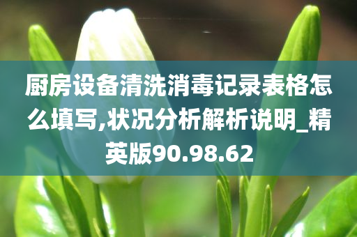 厨房设备清洗消毒记录表格怎么填写,状况分析解析说明_精英版90.98.62