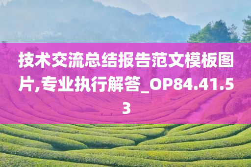 技术交流总结报告范文模板图片,专业执行解答_OP84.41.53