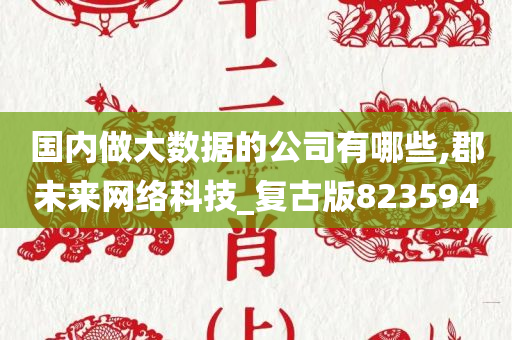 国内做大数据的公司有哪些,郡未来网络科技_复古版823594