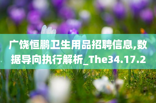 广饶恒鹏卫生用品招聘信息,数据导向执行解析_The34.17.20