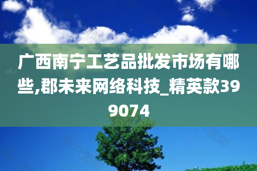 广西南宁工艺品批发市场有哪些,郡未来网络科技_精英款399074