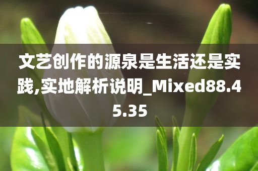 文艺创作的源泉是生活还是实践,实地解析说明_Mixed88.45.35