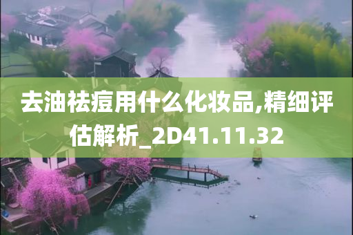 去油祛痘用什么化妆品,精细评估解析_2D41.11.32