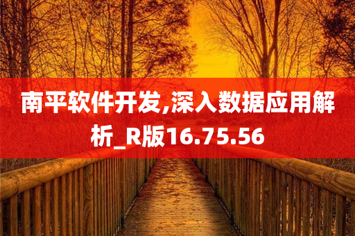 南平软件开发,深入数据应用解析_R版16.75.56