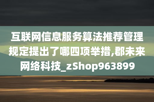 互联网信息服务算法推荐管理规定提出了哪四项举措,郡未来网络科技_zShop963899