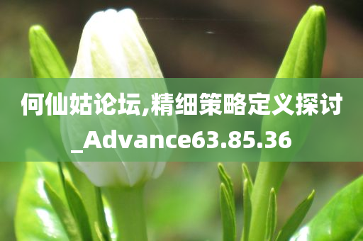 何仙姑论坛,精细策略定义探讨_Advance63.85.36