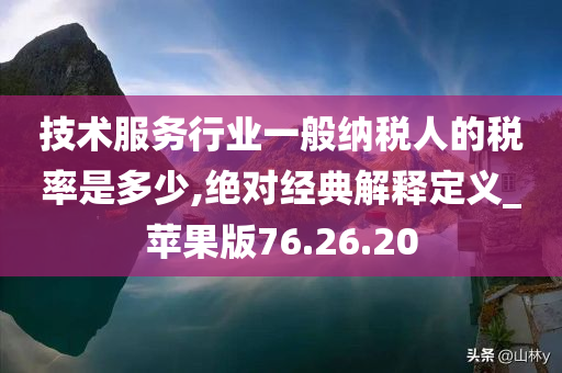 技术服务行业一般纳税人的税率是多少,绝对经典解释定义_苹果版76.26.20