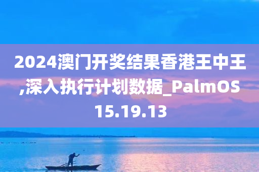 2024澳门开奖结果香港王中王,深入执行计划数据_PalmOS15.19.13