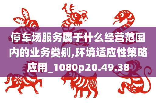 停车场服务属于什么经营范围内的业务类别,环境适应性策略应用_1080p20.49.38