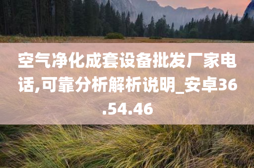 空气净化成套设备批发厂家电话,可靠分析解析说明_安卓36.54.46