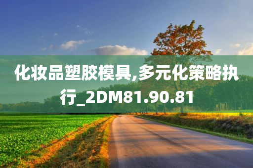 化妆品塑胶模具,多元化策略执行_2DM81.90.81