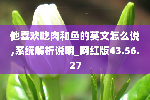 他喜欢吃肉和鱼的英文怎么说,系统解析说明_网红版43.56.27