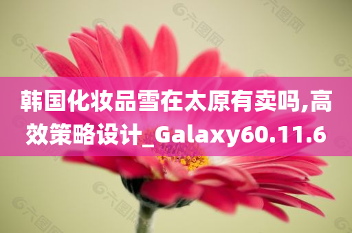 韩国化妆品雪在太原有卖吗,高效策略设计_Galaxy60.11.60