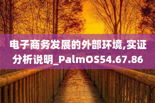 电子商务发展的外部环境,实证分析说明_PalmOS54.67.86