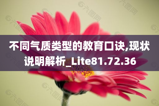 不同气质类型的教育口诀,现状说明解析_Lite81.72.36