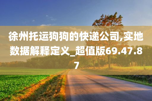 徐州托运狗狗的快递公司,实地数据解释定义_超值版69.47.87