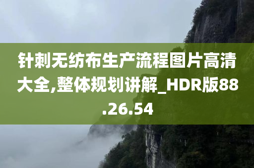 针刺无纺布生产流程图片高清大全,整体规划讲解_HDR版88.26.54