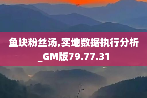 鱼块粉丝汤,实地数据执行分析_GM版79.77.31