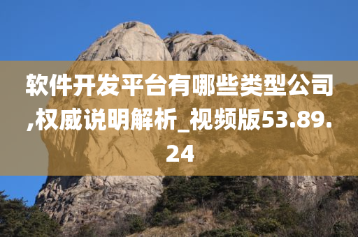 软件开发平台有哪些类型公司,权威说明解析_视频版53.89.24