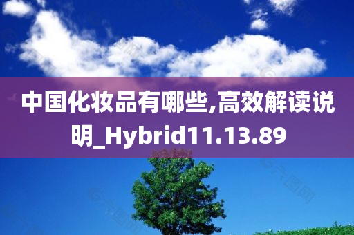 中国化妆品有哪些,高效解读说明_Hybrid11.13.89