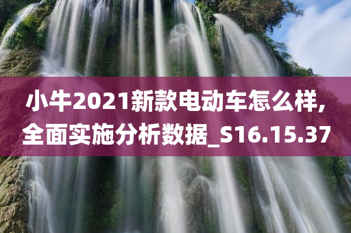 小牛2021新款电动车怎么样,全面实施分析数据_S16.15.37