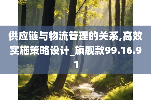 供应链与物流管理的关系,高效实施策略设计_旗舰款99.16.91