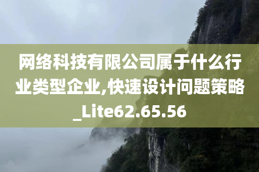 网络科技有限公司属于什么行业类型企业,快速设计问题策略_Lite62.65.56