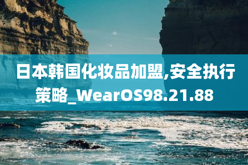 日本韩国化妆品加盟,安全执行策略_WearOS98.21.88