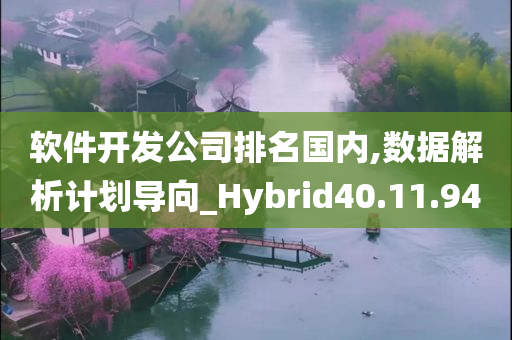 软件开发公司排名国内,数据解析计划导向_Hybrid40.11.94