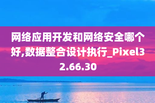 网络应用开发和网络安全哪个好,数据整合设计执行_Pixel32.66.30