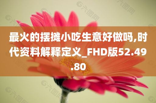 最火的摆摊小吃生意好做吗,时代资料解释定义_FHD版52.49.80