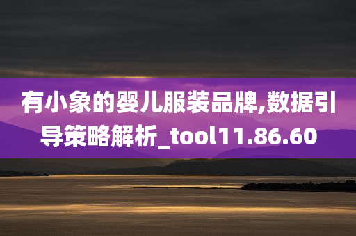 有小象的婴儿服装品牌,数据引导策略解析_tool11.86.60