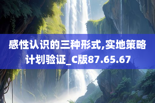 感性认识的三种形式,实地策略计划验证_C版87.65.67