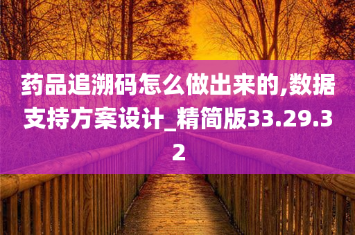 药品追溯码怎么做出来的,数据支持方案设计_精简版33.29.32