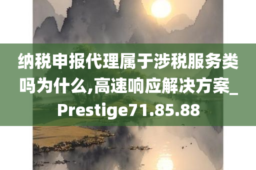 纳税申报代理属于涉税服务类吗为什么,高速响应解决方案_Prestige71.85.88