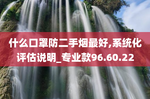 什么口罩防二手烟最好,系统化评估说明_专业款96.60.22