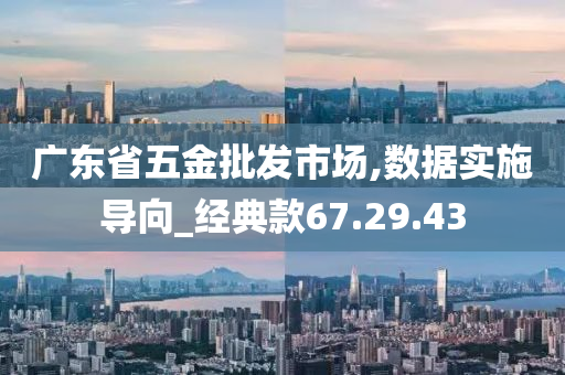 广东省五金批发市场,数据实施导向_经典款67.29.43